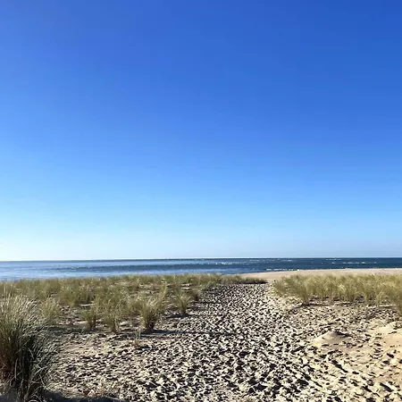 2 Entre Bassin Et Ocean, Pas De Wi-fi - Fr-1-736-62
