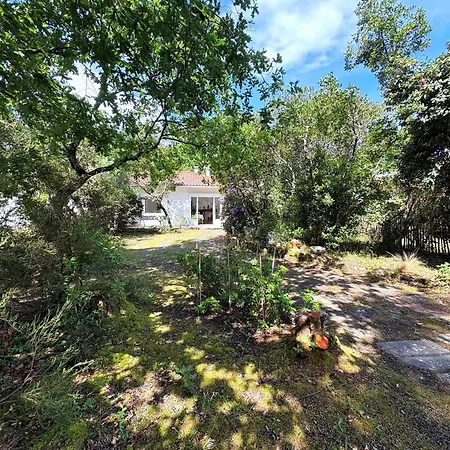2 Entre Bassin Et Ocean, Pas De Wi-fi - Fr-1-736-62 Villa Lege-Cap-Ferret