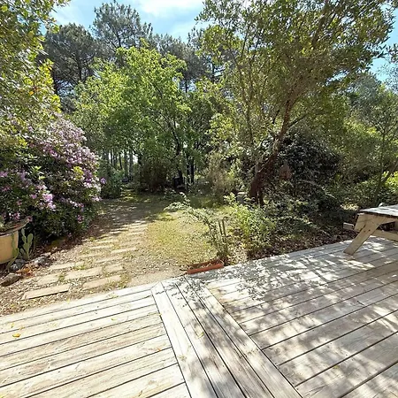 2 Entre Bassin Et Ocean, Pas De Wi-fi - Fr-1-736-62 Villa Lege-Cap-Ferret